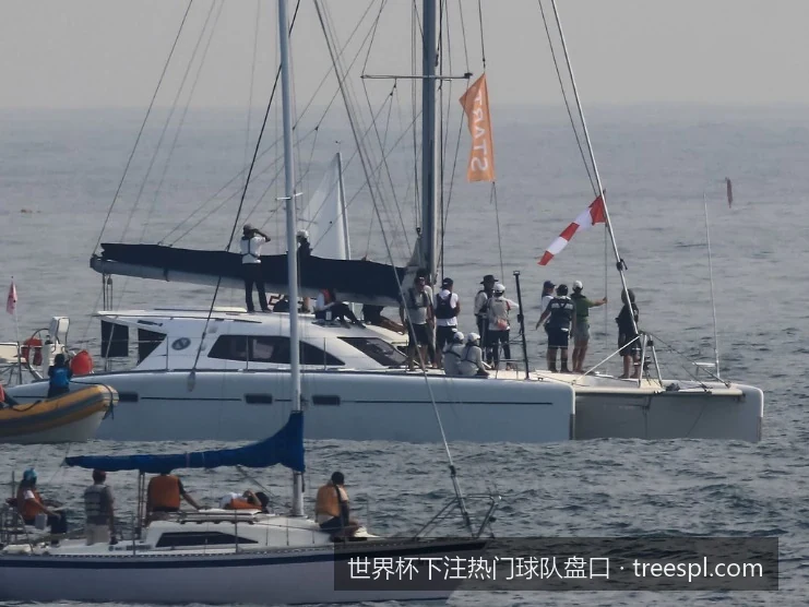 如何看懂世界杯下注盘口？新手必备的强队让球与独赢分析
