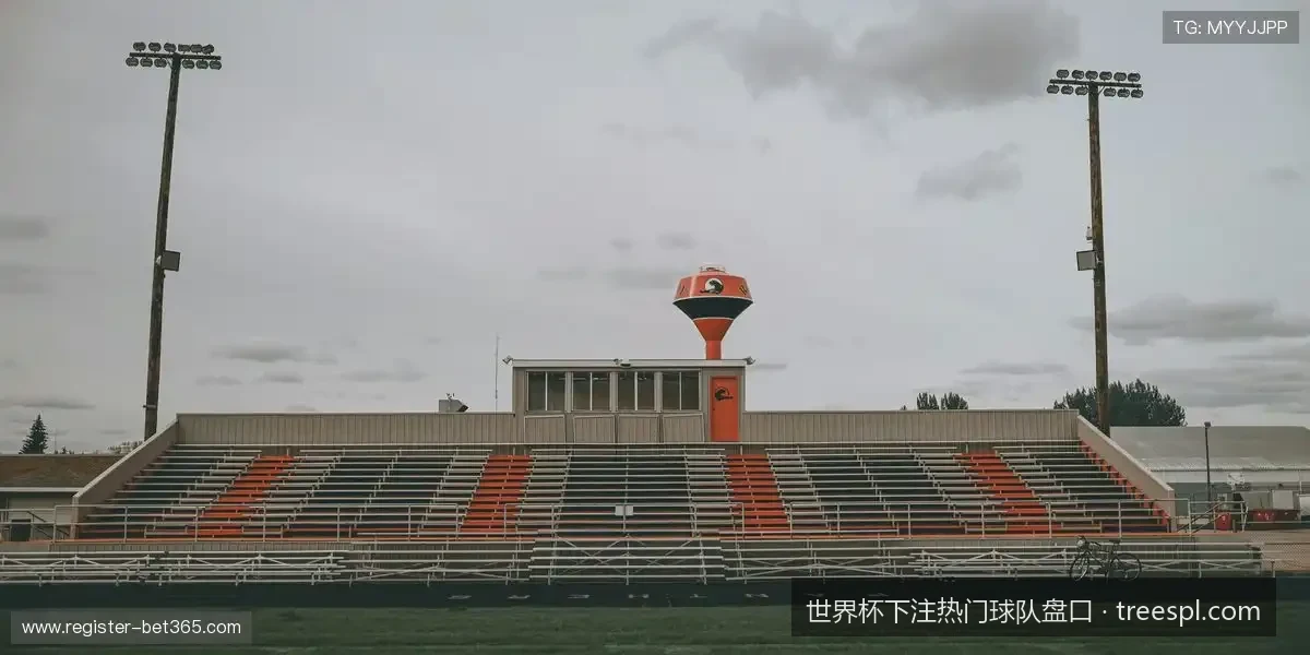 2026世界杯热门球队最新盘口解析与夺冠赔率指南